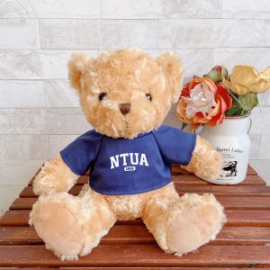 NTUA微笑小熊
